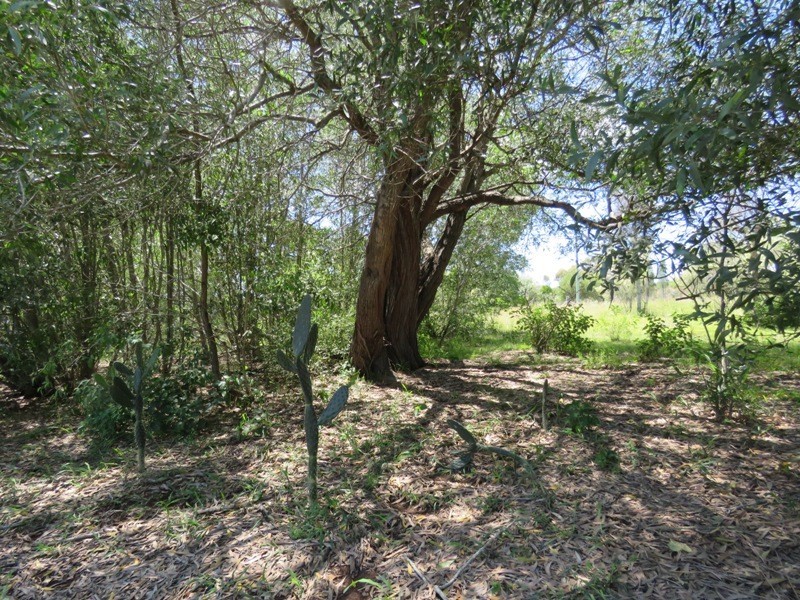 Lot 11 COBBY ROAD, Nanango QLD 4615