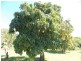 81 ANDERSON ROAD, Nanango QLD 4615
