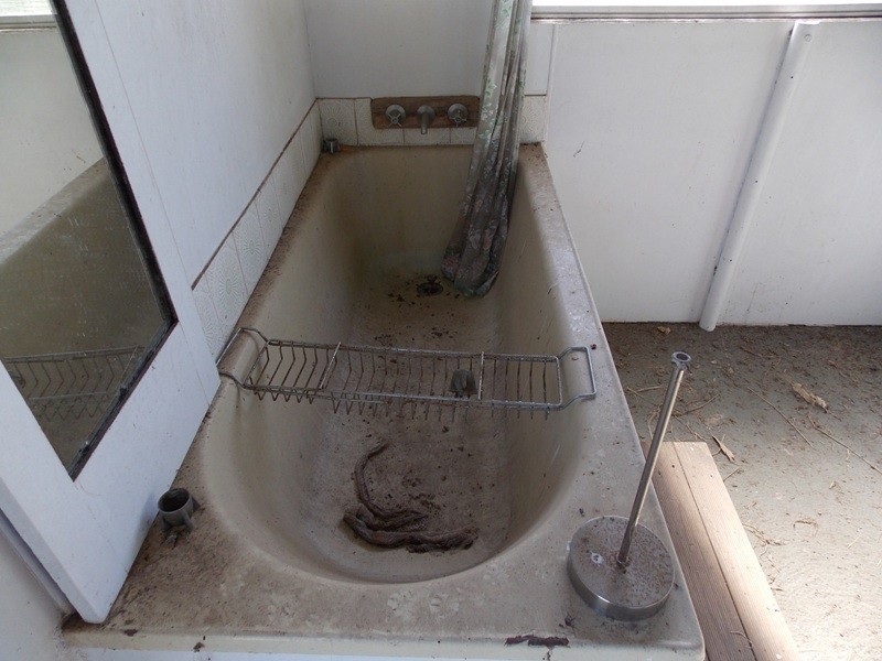 48 LILIAN AVENUE, Ellesmere QLD 4610