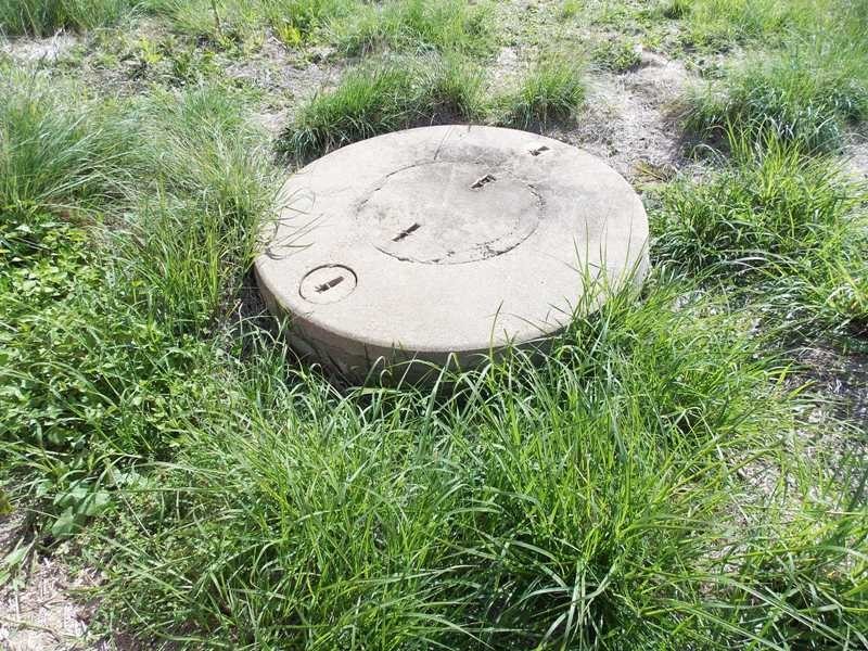 48 LILIAN AVENUE, Ellesmere QLD 4610