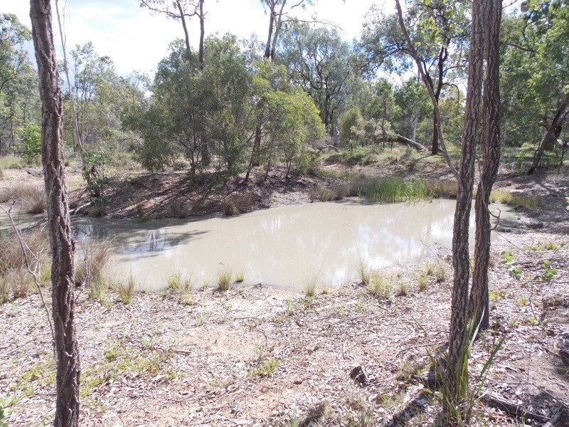 164 CARBEEN CRESCENT, Nanango QLD 4615