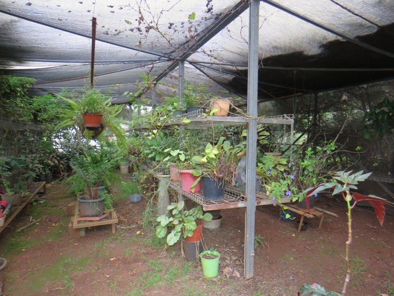 207 Blackbutt Crows Nest Road, Blackbutt South QLD 4306