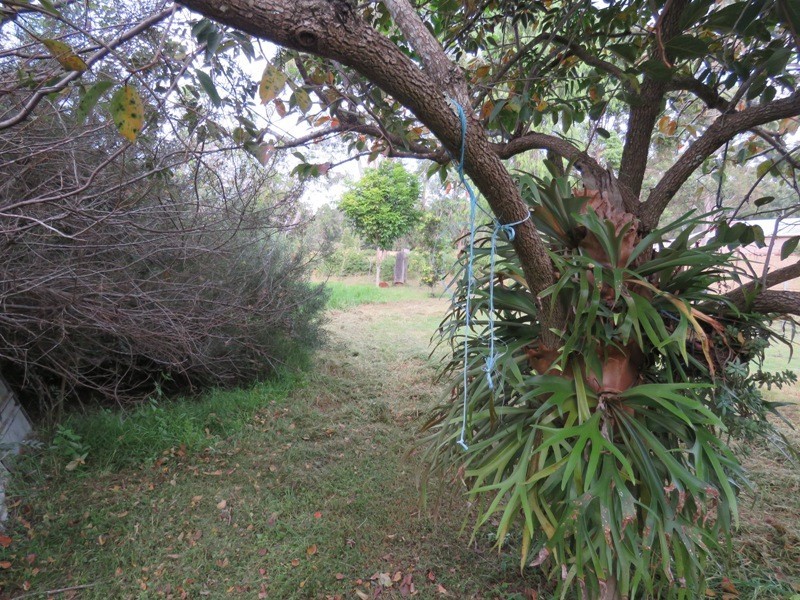 207 Blackbutt Crows Nest Road, Blackbutt South QLD 4306