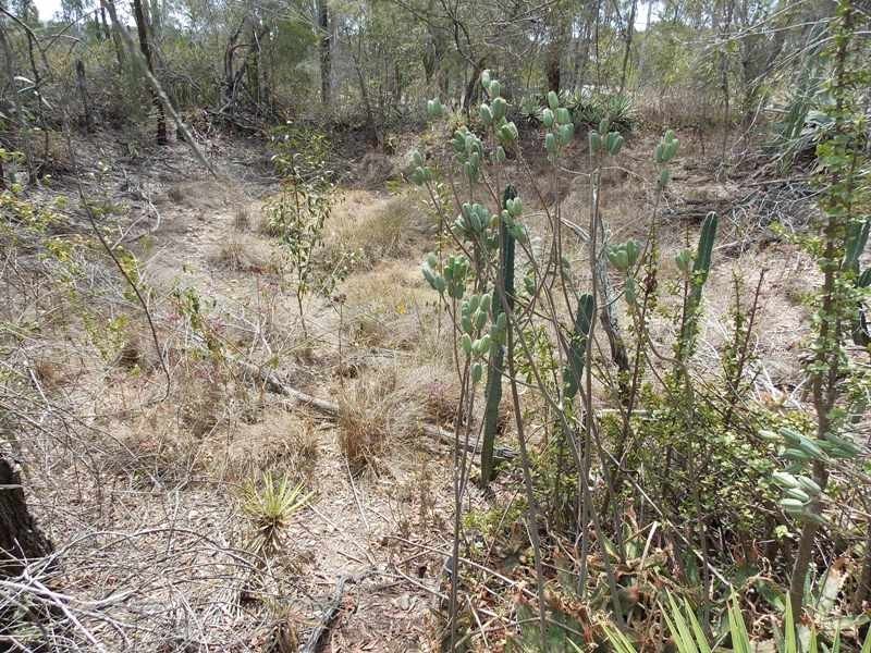 1793 Brooklands Road, Nanango QLD 4615