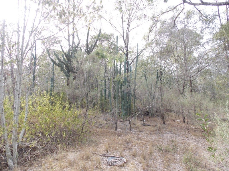 1793 Brooklands Road, Nanango QLD 4615