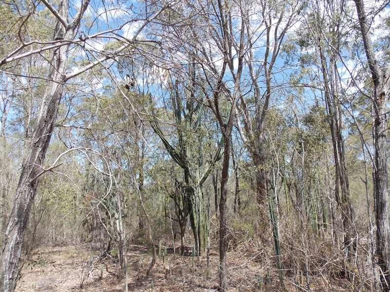 1793 Brooklands Road, Nanango QLD 4615