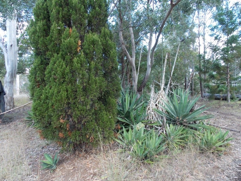 89 Heights Road, Nanango QLD 4615