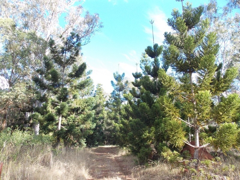 89 Heights Road, Nanango QLD 4615