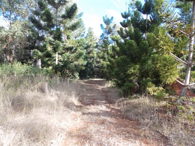 89 Heights Road, Nanango QLD 4615