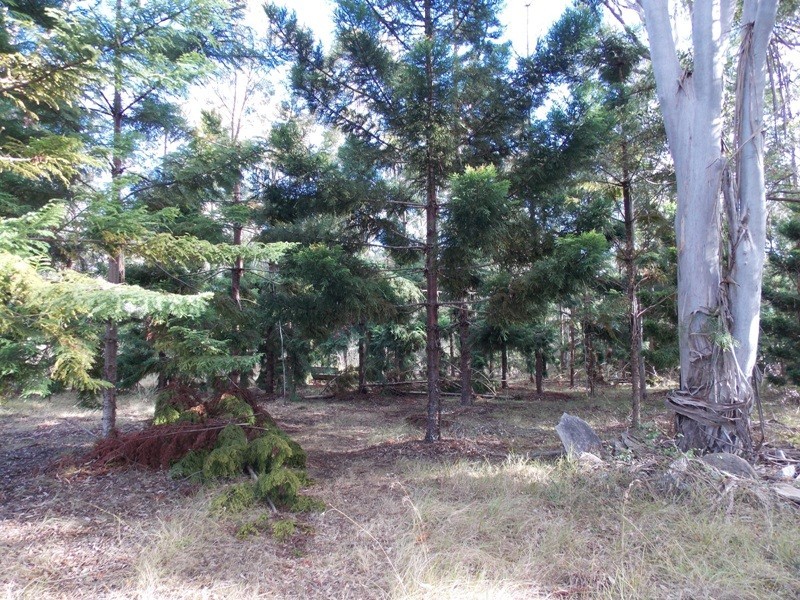 89 Heights Road, Nanango QLD 4615