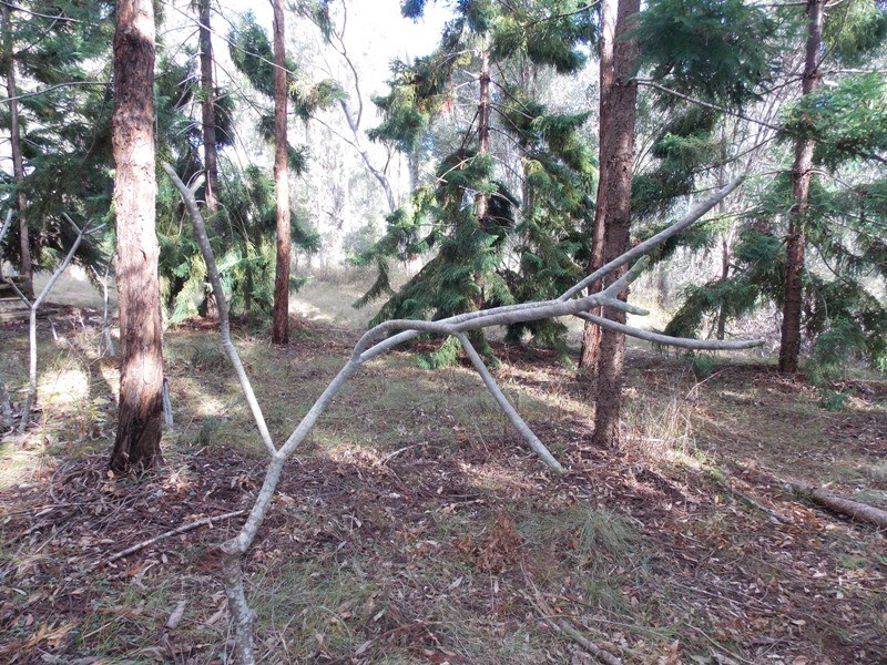 89 Heights Road, Nanango QLD 4615