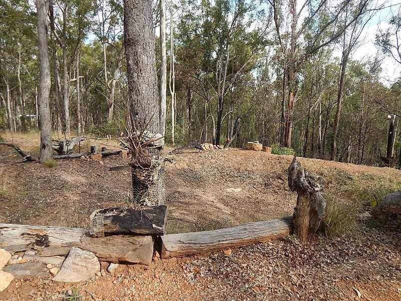 111 MAGUIRE ROAD, Wattle Camp QLD 4615