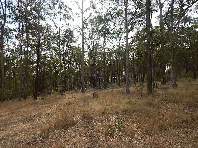 111 MAGUIRE ROAD, Wattle Camp QLD 4615