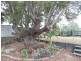 43 GOODE STREET, Nanango QLD 4615