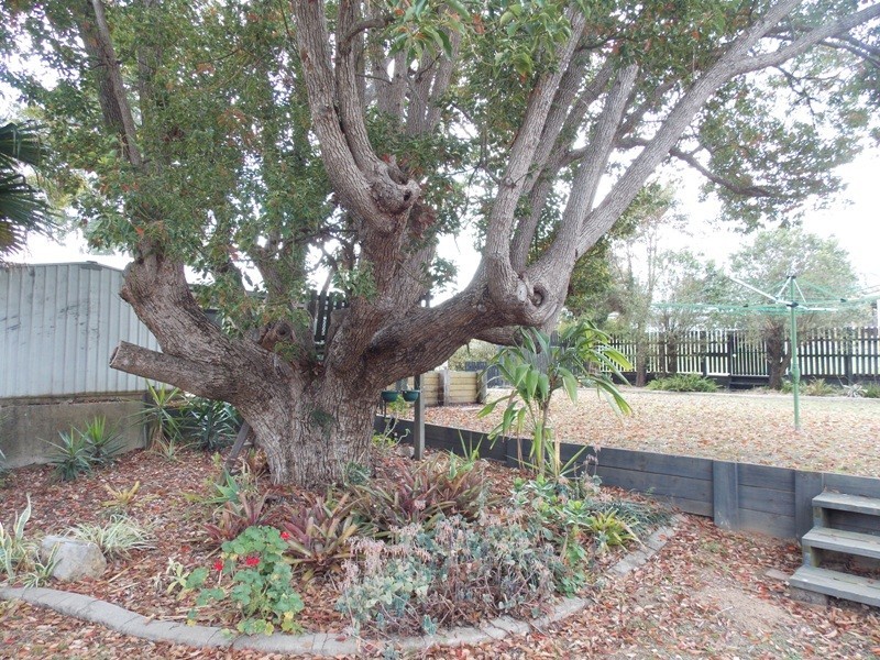 43 GOODE STREET, Nanango QLD 4615