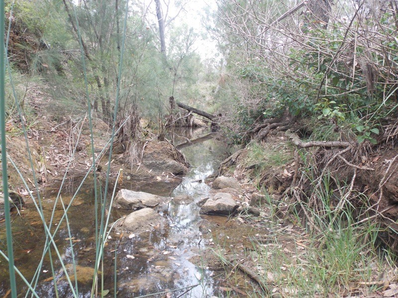 32 Parker Road, Brooklands QLD 4615