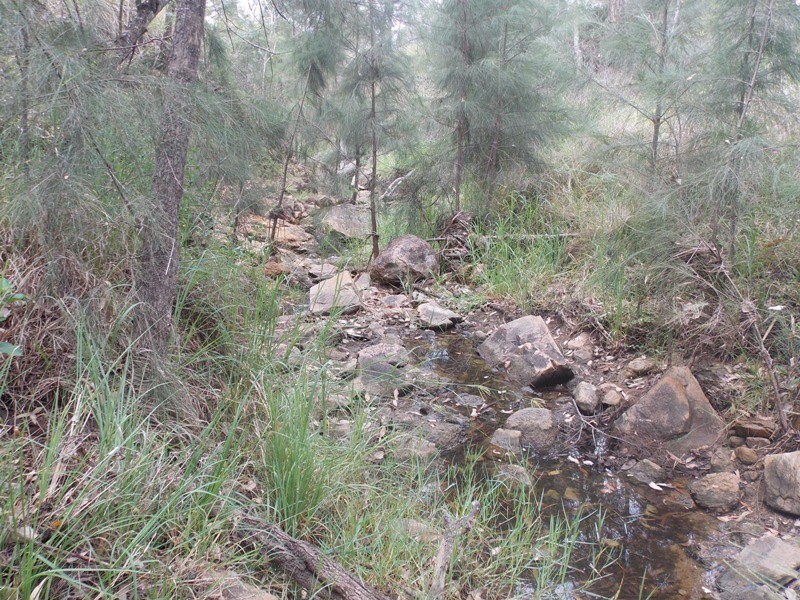 32 Parker Road, Brooklands QLD 4615