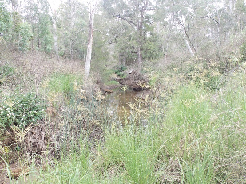 32 Parker Road, Brooklands QLD 4615