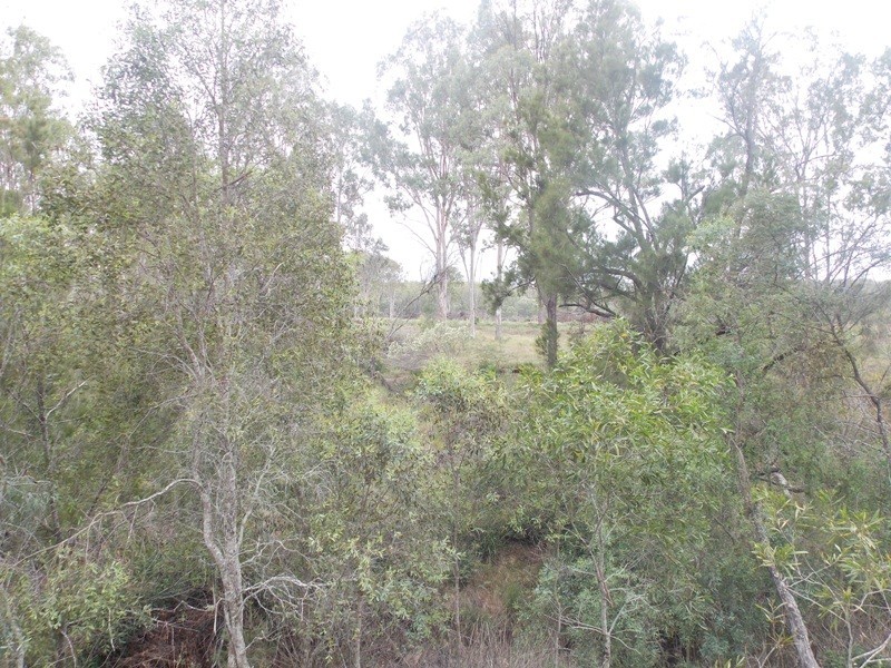 32 Parker Road, Brooklands QLD 4615