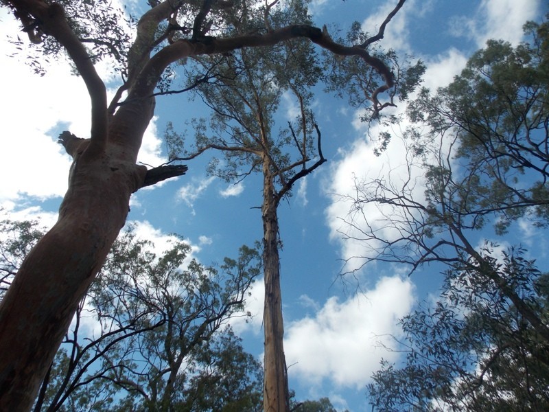 57 Kassulke Road, Nanango QLD 4615