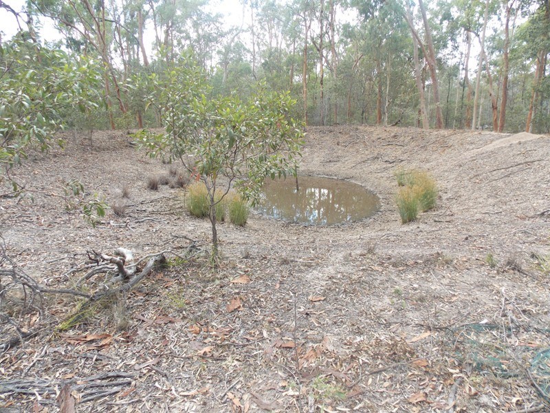 57 Kassulke Road, Nanango QLD 4615