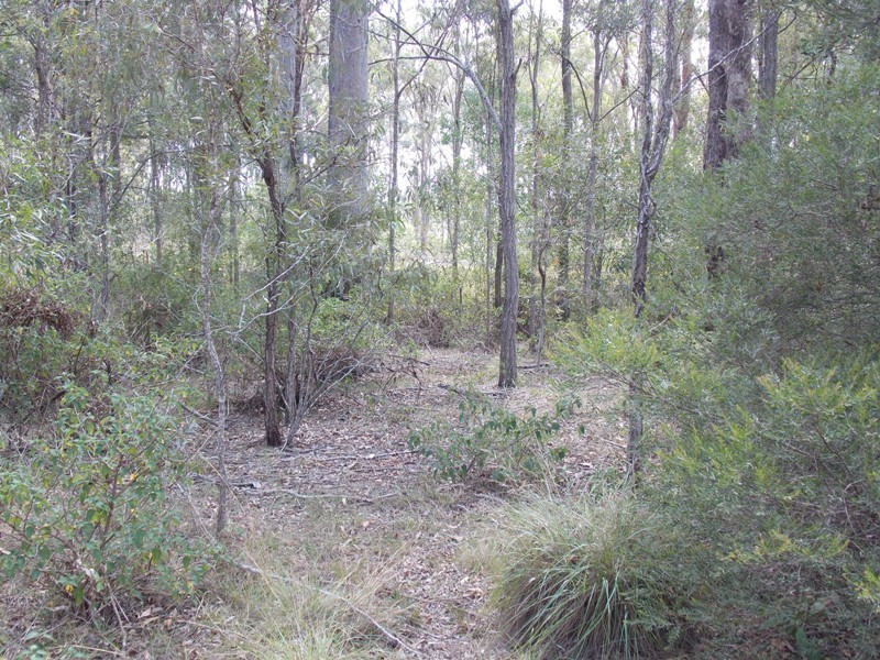 L6 Locke Lane, Nanango QLD 4615