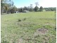 Lot 4 Taromeo Rise, Blackbutt QLD 4306