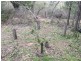 Lot 45 Tanduringie Drive, Nanango QLD 4615