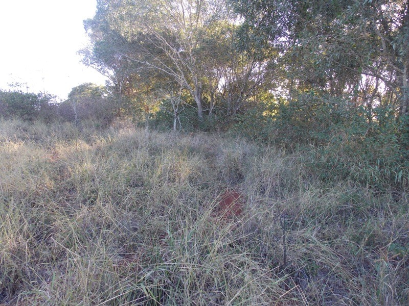 Lot 4 Lowry Road, Nanango QLD 4615