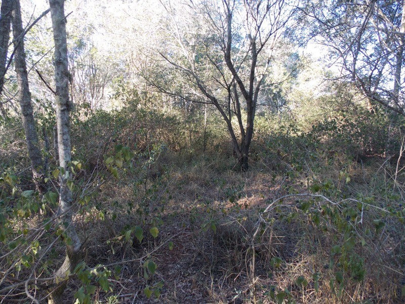 Lot 4 Lowry Road, Nanango QLD 4615