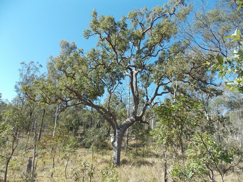 Lot 206 Burnett Highway, Nanango QLD 4615