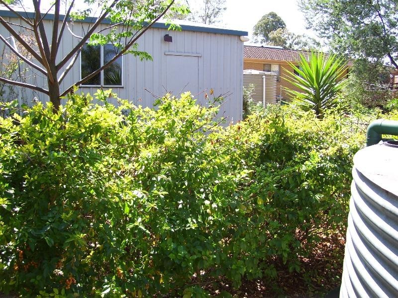 Nanango QLD 4615