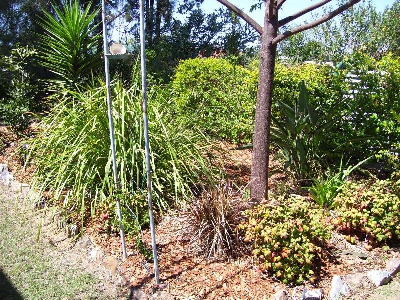Nanango QLD 4615