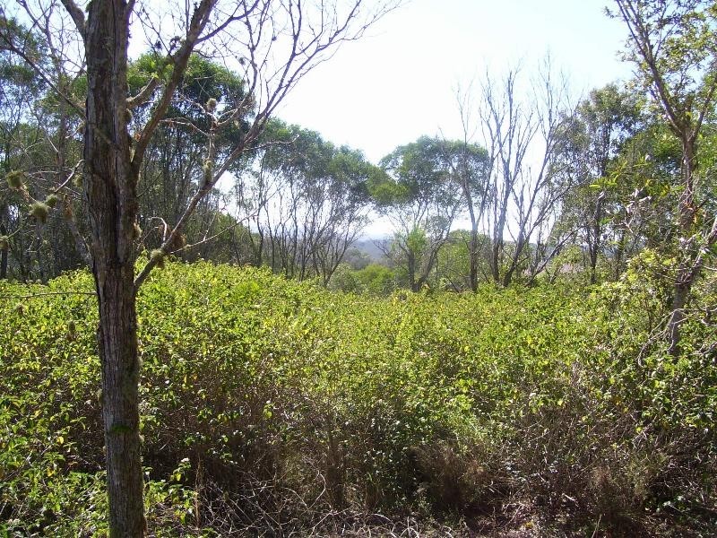 Lot 25 North Kerton Road, Nanango QLD 4615
