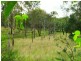 Lot 202 Burnett Highway, Nanango QLD 4615