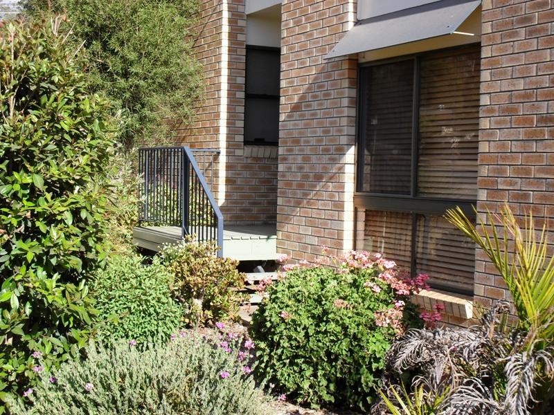 19 Hunter Street, Nanango QLD 4615