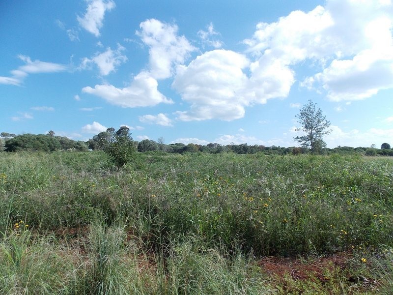 L3 Wallison Road, Nanango QLD 4615