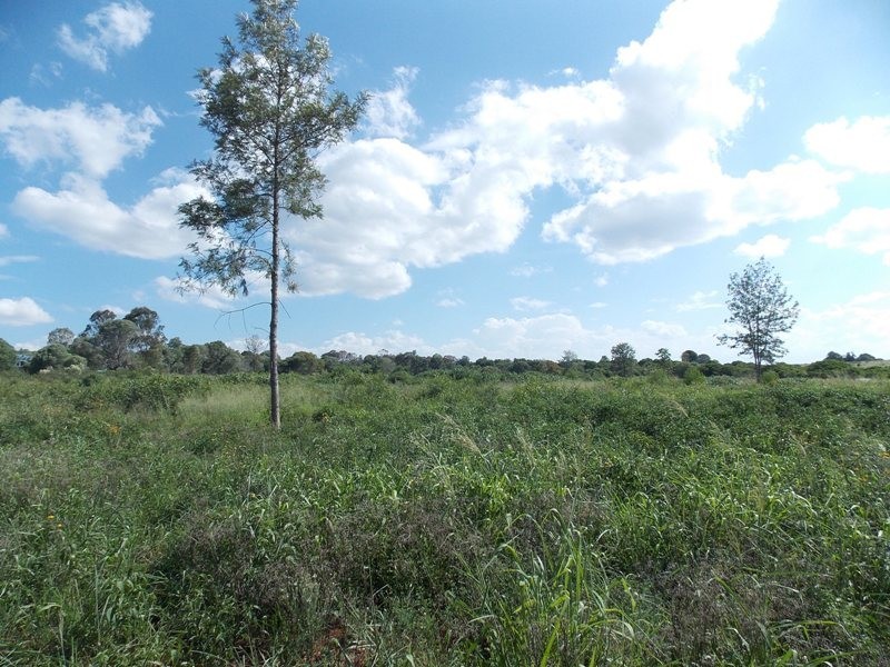 L3 Wallison Road, Nanango QLD 4615