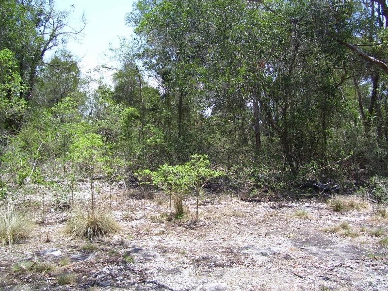 South Nanango QLD 4615