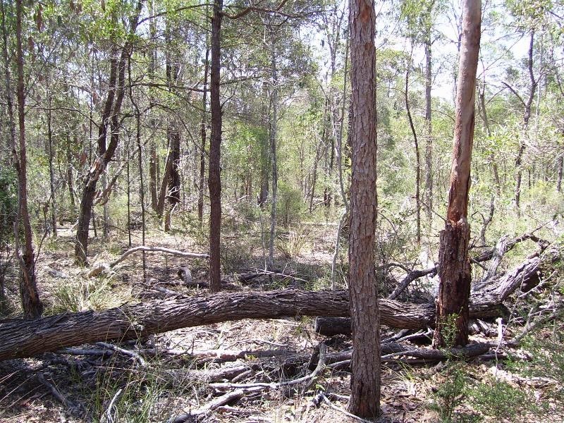 South Nanango QLD 4615