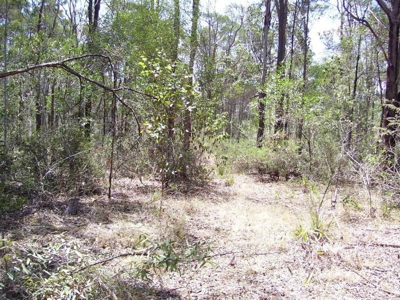 South Nanango QLD 4615