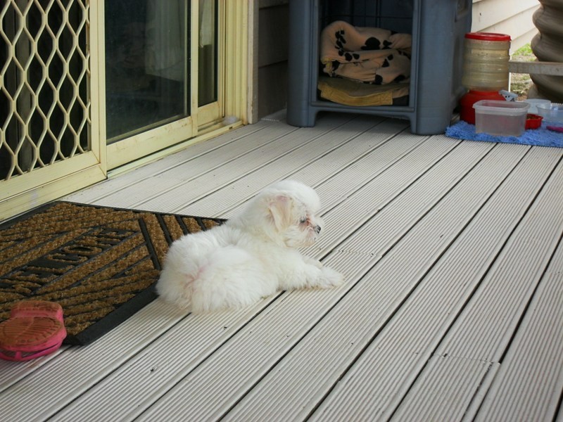 114 Mt Stanley Road, Nanango QLD 4615