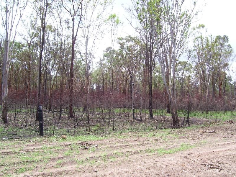 Nanango QLD 4615