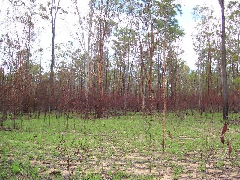 Nanango QLD 4615