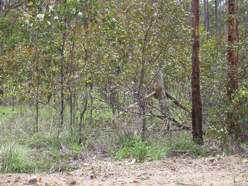 Nanango QLD 4615