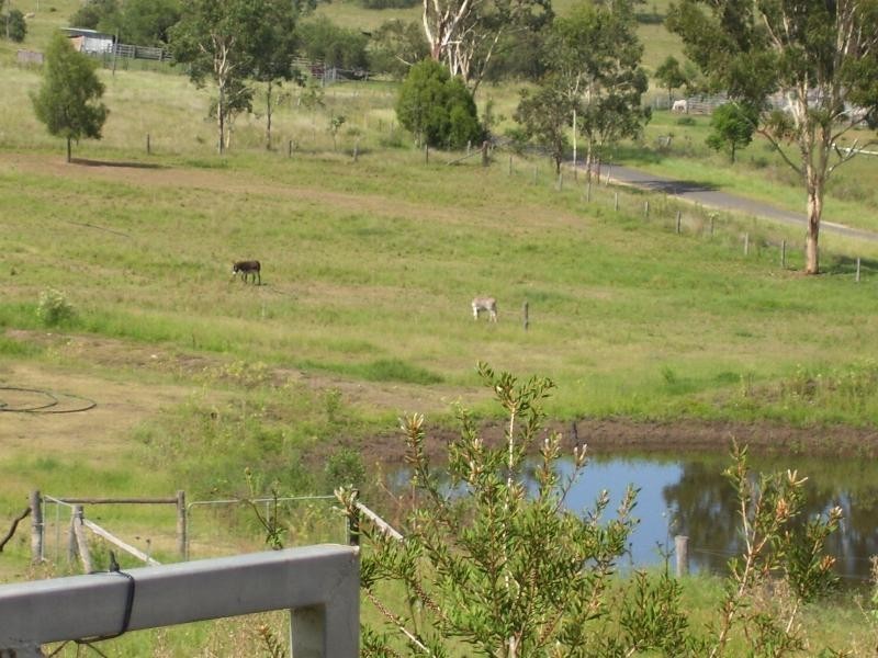 411 Brooklands Pimpinbudgee Rd, Brooklands QLD 4615