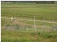 411 Brooklands Pimpinbudgee Rd, Brooklands QLD 4615