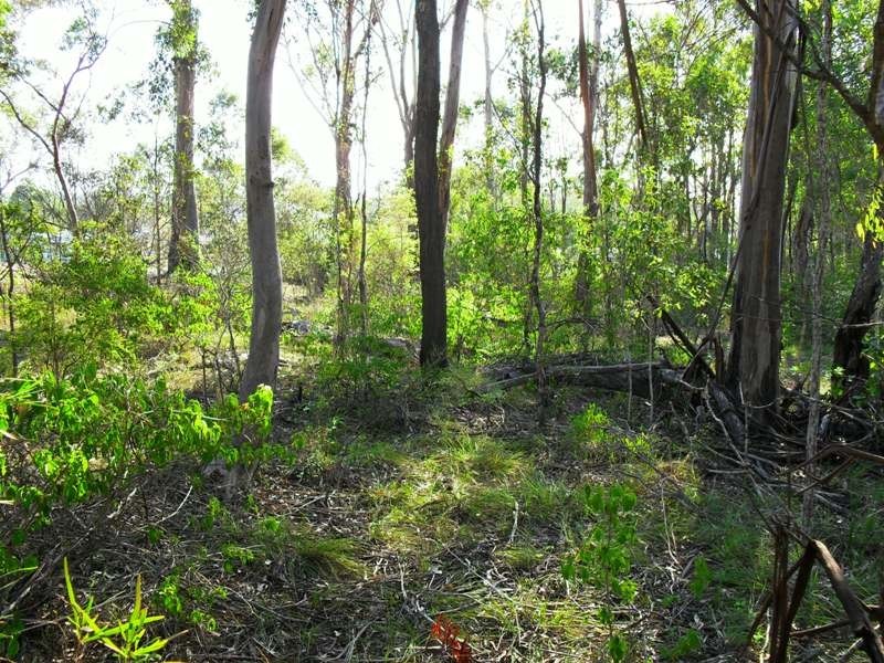 44 Home Street, Nanango QLD 4615