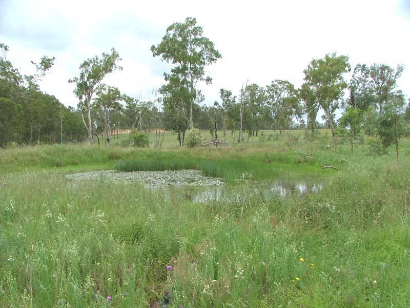 1156 Burnett Highway, Nanango QLD 4615