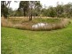 55  McConnells Road, Nanango QLD 4615